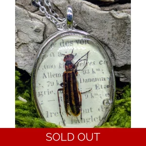 Blister Beetle Necklace