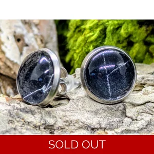 Spider Web Stud Earrings