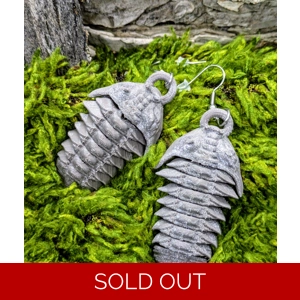 Trilobite Fossil Earrings