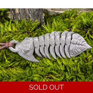 Trilobite Fossil Necklace