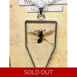 Yellow Jacket Reversible Necklace
