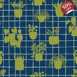 Sarah Golden - Home - House Plants - Cobalt