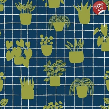 Sarah Golden - Home - House Plants - Cobalt