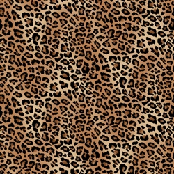 Skin Deep - Leopard Skin