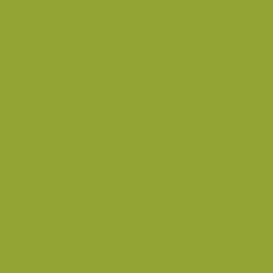 Makower - Spectrum Solids - Pistachio
