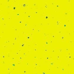 Giucy Giuce - Scrawl - Motley - Dayglow