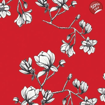 Rayon - Bari J. - Silkroad Fusion - Magnolia Study