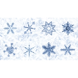 Debbie Maddy - Winter Chill - Panel - Frost 48109-12