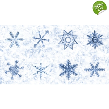 Debbie Maddy - Winter Chill - Panel - Frost 48109-12
