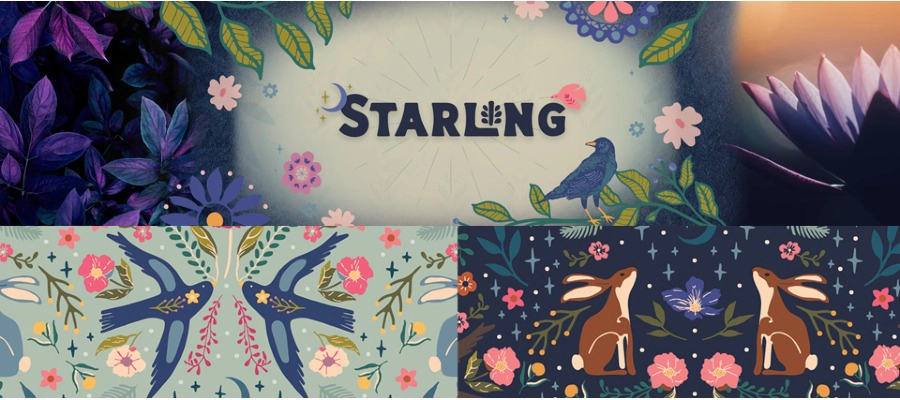 Starling - Maureen Cracknell