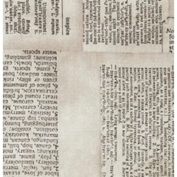 Tim Holtz - Foundations - Dictionary - Neutral
