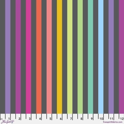 Tula Pink - True Colors Graywork - Disco Stripe - Carbon