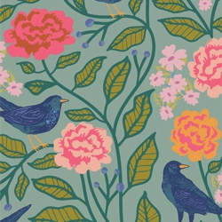 AGF - Maureen Cracknell - Starling - Blackbird Aviary