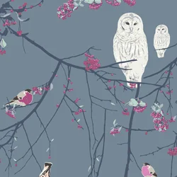 Katarina Roccella - Eclectic Intuition - Bird Songs