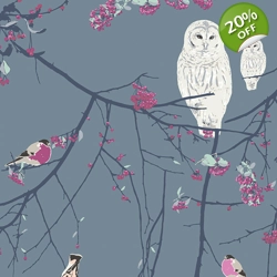 Katarina Roccella - Eclectic Intuition - Bird Songs