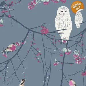 Katarina Roccella - Eclectic Intuition - Bird Songs