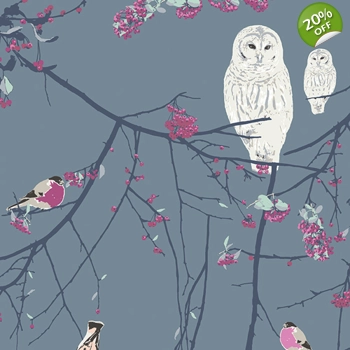 Katarina Roccella - Eclectic Intuition - Bird Songs