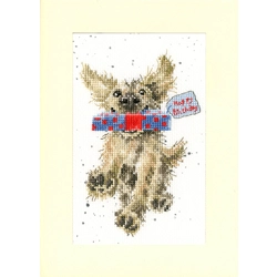 Bothy Threads - Special Delivery Greeting Card - Cross Stitch Kit