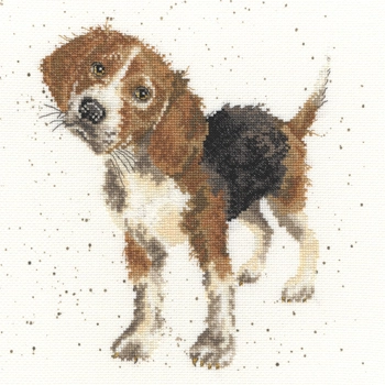 Bothy Threads - Beagle - Cross Stitch Kit