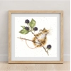 Bothy Threads - Brambles - Cross Stitch Kit