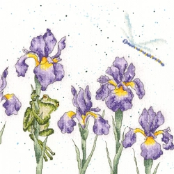 Bothy Threads - Damsels and Dragons - Cross Stitch Kit