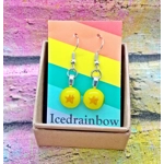 Star Baker Dangly Drop Glass Earrings