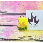 Themed Glass Keyrings - Hare, Fox, Squirrel, Poppy