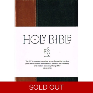 Holy Bible ESV Anglicized