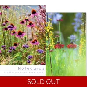 Notecards & Envelopes Echinacea flower Beds by Leonard Smith