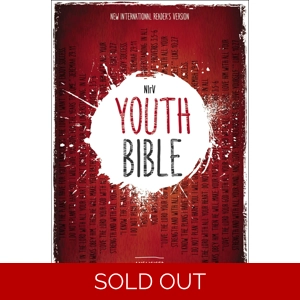 NIRV YOUTH BIBLE HB