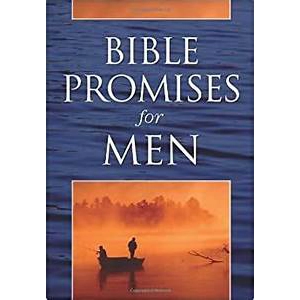 Bible Promises for Men
