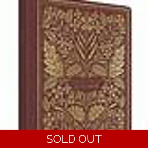 ESV Illuminated Scripture Journal Matthew