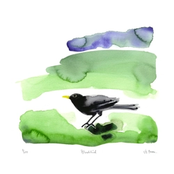 Blackbird - print Blackbird - print
