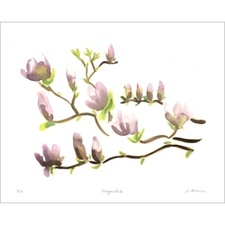 Magnolias - print Magnolias - print