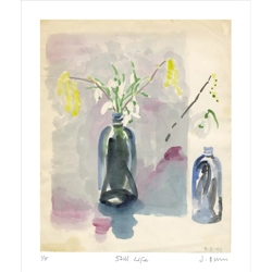 Catkins and Snowdrops -.. Catkins and Snowdrops -..