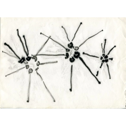 Diatoms III Diatoms III