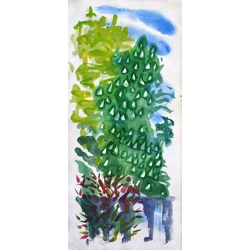 Horse Chestnut