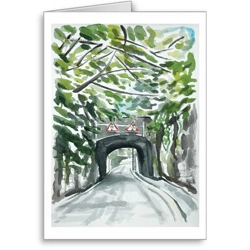 The Bridge, Little Swit..