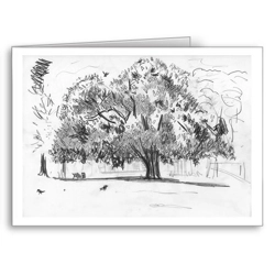 Horse Chestnut Tree - c.. Horse Chestnut Tree - c..