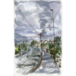 Looking Up Woodland Lane