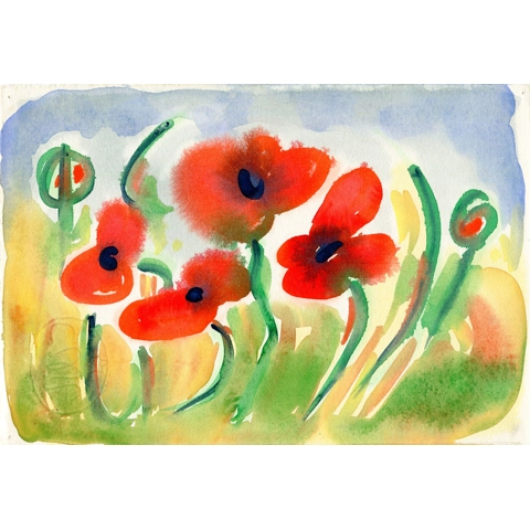 Poppies I
