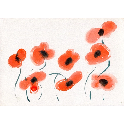 Poppies II
