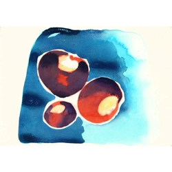 Conkers V