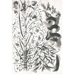 Silver Birch and Bamboo I