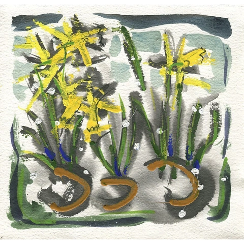 Daffodils IV