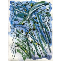 Rookery