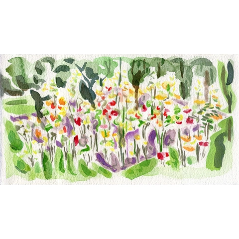Rosebed Rosebed