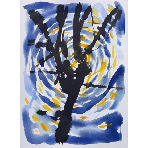 Tree On Spencer Place I