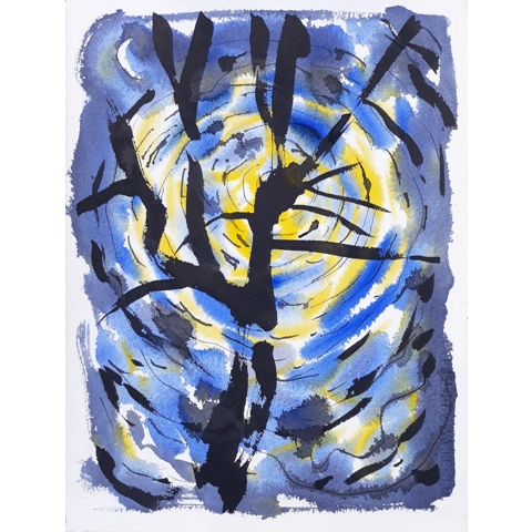 Tree on Spencer Place II