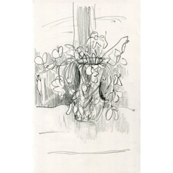 Cyclamens, pencil